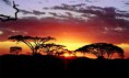 /album/fotogaleria-crowdfunding-luna-de-miel/tanzania-4-jpg/